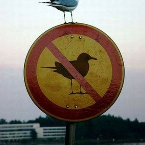 Meet your Posher, Teresa